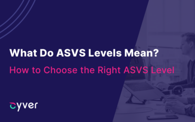 What Do ASVS Levels Mean: How to Choose the Right ASVS For Your Organization