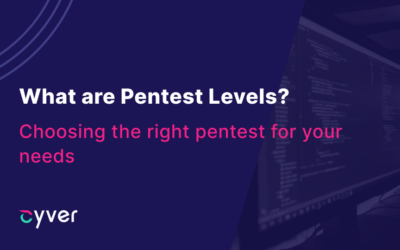 Pentest Levels – Choosing an Assessment Level